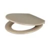 Cooke & Lewis Diani Taupe Round Soft Close Toilet Seat 2 Cooke & Lewis Diani Taupe Round Soft Close Toilet Seat -Crystal Bathware cooke lewis diani taupe round soft close toilet seat3663602904106 01bq