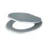 Cooke & Lewis Palmi Silver Round Standard Close Toilet Seat 2 Cooke & Lewis Palmi Silver Round Standard Close Toilet Seat -Crystal Bathware cooke lewis palmi silver round standard close toilet seat3663602960997 01c bq