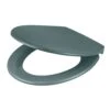 GoodHome Diani Green Top Fix Soft Close Toilet Seat -Crystal Bathware goodhome diani green top fix soft close toilet seat5059340081335 01c