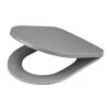 GoodHome Tanaro Grey Top Fix Soft Close Toilet Seat -Crystal Bathware goodhome tanaro grey top fix soft close toilet seat5059340081533 01c