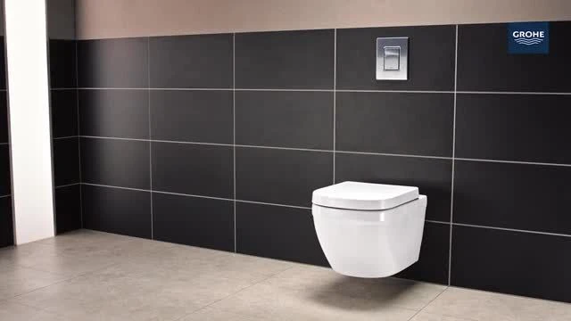 Grohe Euro Alpine White Wall Hung Toilet & Cistern With Soft Close Seat 4 Grohe Euro Alpine White Wall Hung Toilet & Cistern With Soft Close Seat - Image 2