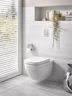 Grohe Euro White Wall Hung Toilet Set With Soft Close Seat -Crystal Bathware grohe euro white wall hung toilet set with soft close seat4005176484452 02i BQ